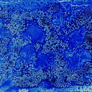 Farbfeldmalerei, color field painting